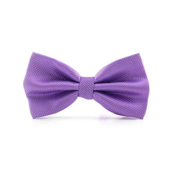 Noeud papillon violet pour homme, un accessoire de mode raffiné et idéal pour mariage et cérémonie