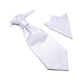 Lavallière parme et argent à carreaux avec pochette – Accessoire mode pour homme élégant